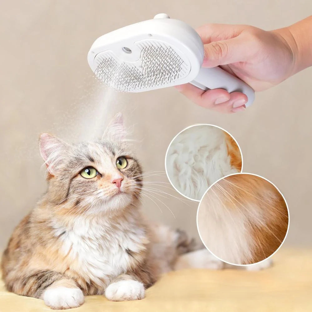 Brosse à vapeur pour chiens et chats